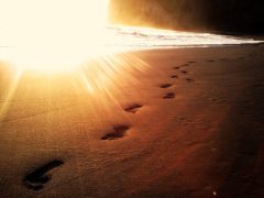 footprints-1