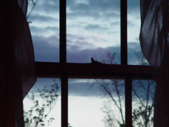 window_to_the_sky_by_teal_hoodie
