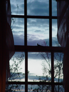 window_to_the_sky_by_teal_hoodie